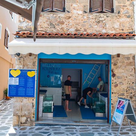 Apartament Apellou House Miasto Kos Zewnętrze zdjęcie